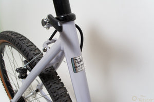 Beast RS Topline 45CM Vintage MTB