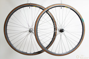 Campagnolo Chorus auf Campagnolo Omega 28" Laufradsatz