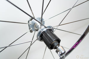 Campagnolo Record auf Shamal 28" Laufradsatz