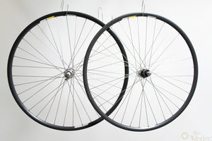 Campagnolo Veloce auf Campagnolo Omega 28" Laufradsatz